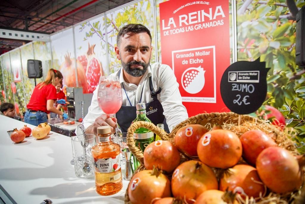 Alicante Gastronómica